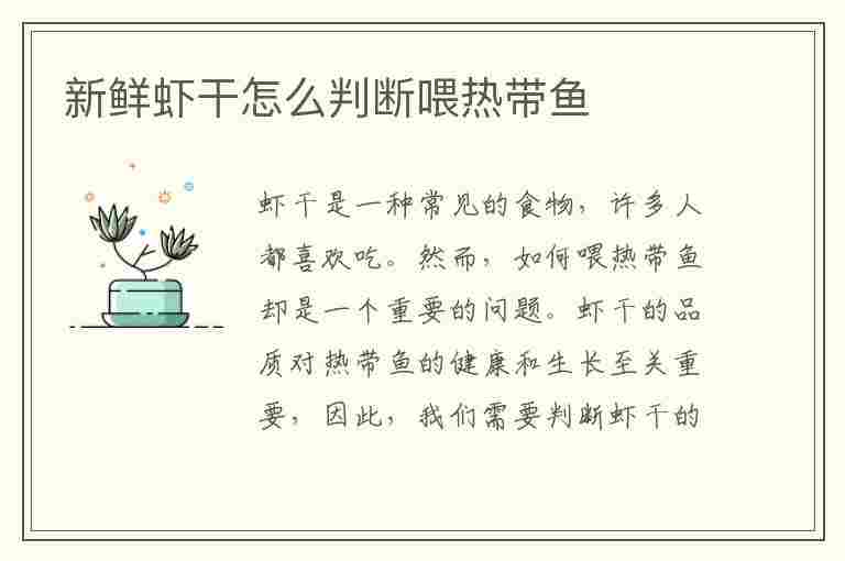 新鲜虾干怎么判断喂热带鱼(新鲜虾干怎么判断喂热带鱼了没)